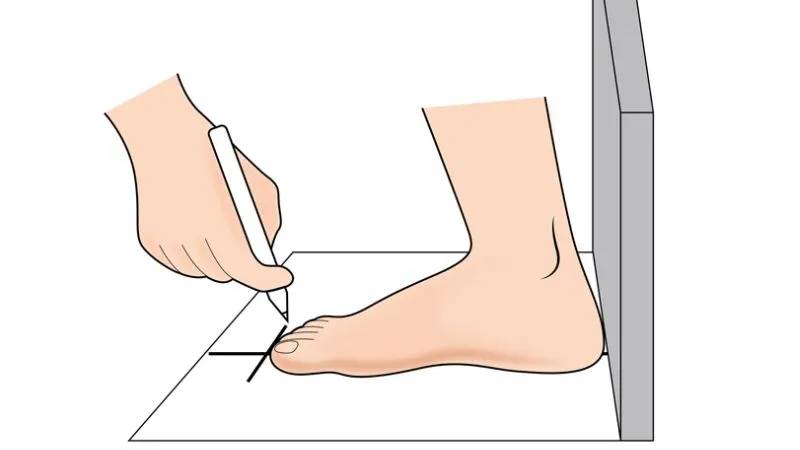 Shoe size guide