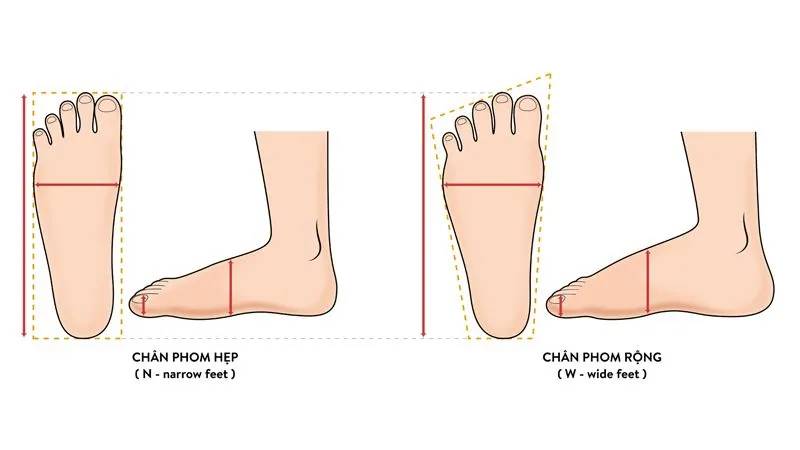 Shoe measuring guide
